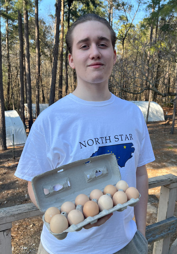 "Irwin's Eggs!" -North Star Bresse- White American Bresse HATCHING EGGS Baker's Dozen (13)